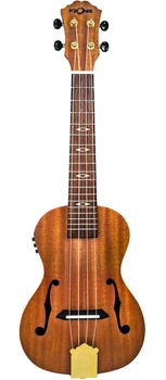 Укулеле Fzone FZU-31MEQ Concert