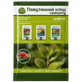 Паутинный клещ на самшите – комплект защиты