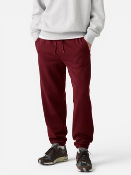 Спортивные штаны на флисе мужские Levi`s 199315923 L Бордовые (1159863445)