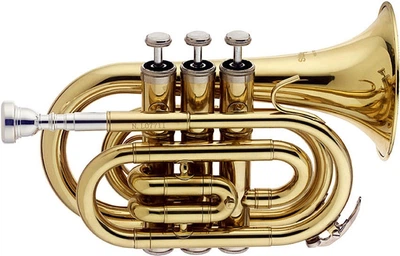 Кишенькова труба Bb Stagg WS-TR245S