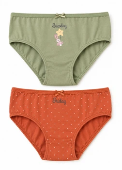 Комплект трусиков (2шт.) H&M 530235c66 110-116см Разноцветный (100013060)