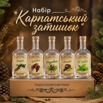 Подарочный набор для настоек «Карпатский уют» 5 бутылок по 500 мл в подарочной коробке