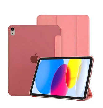 Чохол iPad 10/11 A16 2024-2025 Smart Case Frosted Color watermelon