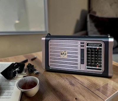 Радіоприймач GOLON RX-BT LS портативний із сонячною панеллю та ліхтарем Bluetooth, USB, SD (8I3Z)