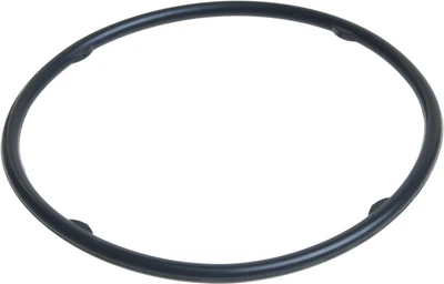Уплотнительное кольцо Mazda (LN01273A3)