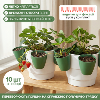 Набор подвесных чаш-расширителей для укоренения и выращивания клубники в горшках кашпо для рассады ягод на балконе и в саду