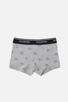 Трусы боксеры для мальчика 98 цвет серый Wooster ЦБ-00294179