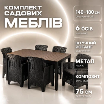 Набір садових меблів із ротанга вуличний комплект 6 стільців стіл для альтанки дачі тераси та саду