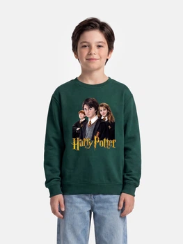 Підлітковий світшот Спиногриз Наггу Potter 3 героя №10-00221 152 см Зелений (ROZ6501045165)