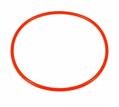 Уплотнительное кольцо (прокладка) для фильтров SunSun HW-603 A/B