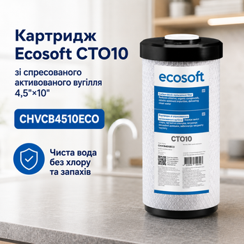 Брикетований вугільний картридж Екософт Big Blue 10 для очищення від хлору та органіки