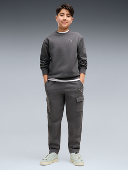 Подростковый спортивный костюм (свитшот + штаны) для мальчика Puma Essentials Elevated 69521834 170-176 см Moody Gray (4070033470978)
