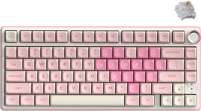 Клавіатура дротова RK ROYAL KLUDGE R75 Pink Melody Gaming Beige Switch (RK-R75-PNKMLDY-BEGSW-US)