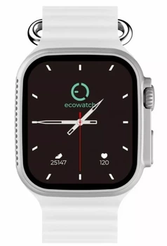 Смарт-часы EcoWatch Smartwatch EW02 Silver (5905913006024)