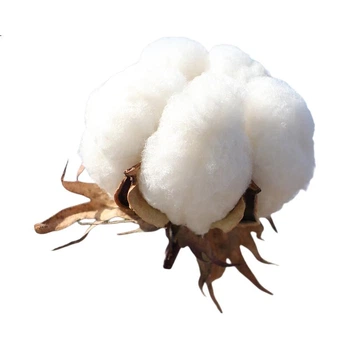 Салфетки для лица PurCotton, хлопок 100%, 70 листов × 6 упаковок, 15×20 см