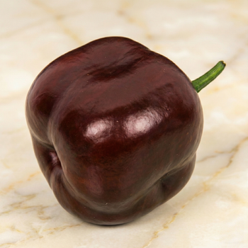 Семена Перец острый Rocoto Big Brown, Capsicum pubescens 5 шт/уп