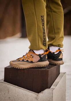 Кросівки чоловічі ACG Mountain Fly Low Fossil 45 (1199-745945)