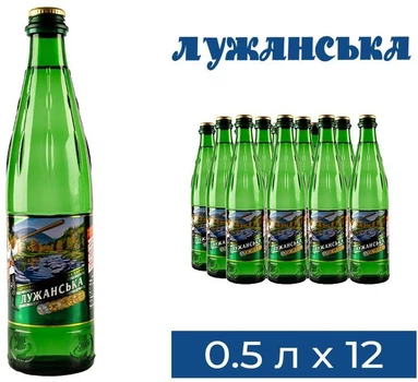 Упаковка минеральной газированной воды «Лужанская» 0,5 л × 12 бутылок [4820001830026]