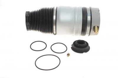 Подушка пневмопідвіски (спереду) Audi Q7/Porsche Cayenne/VW Touareg 02-15 (R) 46160001701 , VIKA