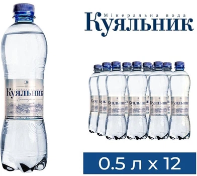 Минеральная газированная вода «Куяльник» 0,5 л × 12 бутылка [4820001020625]