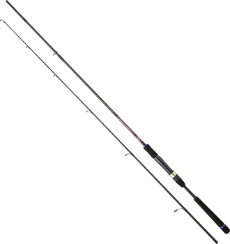 Спиннинг Daiwa Crosscast Seabass 1002HXHFS 3.05 m 14-56 g (11799-301)