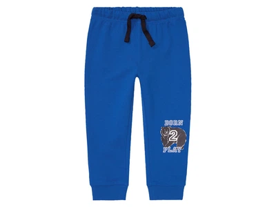 Спортивные штаны джоггеры двунитка для мальчика Lupilu LIDL 381839 110-116 см (4-6 years) Синий