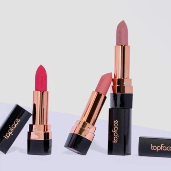 Помада для губ матова Instyle Matte Lipstick TopFace PT155 №002 Темно-бежевий, 4 г