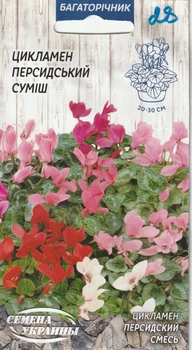 Цикламен Насіння України Персидський суміш 5 шт