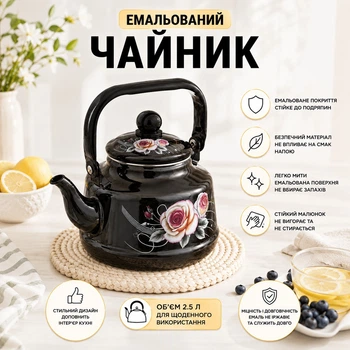 Чайник эмалированный A-PLUS 2.5 л (1343)