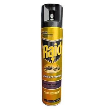 Аэрозоль Raid от ос и шершней 300 мл