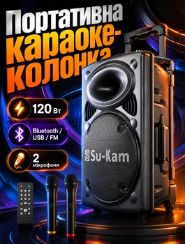 Портативная акустическая система с Bluetooth и FM-радио для караоке с 2 микрофонами и аккумулятором на 8-10 часов
