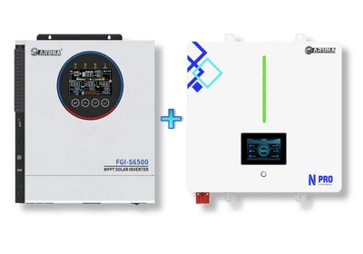 Комплект резервного живлення 6 кВт ARUNA (інвертор FGI S6500/48 та 48100 N-PRO)