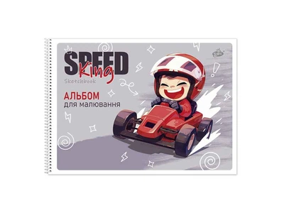 Альбом BRISK 20арк. 100г/м² спіраль САВ-1 №287