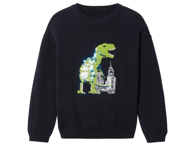 Джемпер с пайетками для мальчика Lupilu LIDL 450657 122-128 см (6-8 years) темно-синий