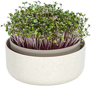 Вазон для вирощування мікрозелені Urbalive MICROGREENS 1606711640C