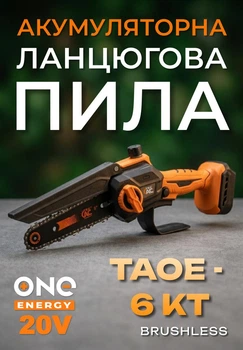 Акумуляторна ланцюгова пила TexAC TAOE-S6KT (Без АКБ та ЗП)