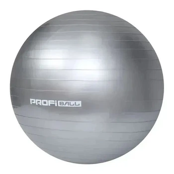 Мяч гимнастический ProfiBall фитбол резиновый d-55 серебряный (MS0381SL)