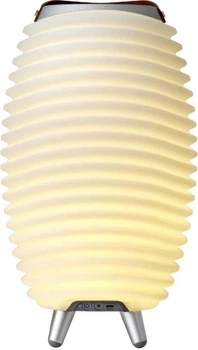 Lampa przenośna Kooduu SYNERGY 35 z głośnikiem i coolerem na napoje Biała (8720929081400)