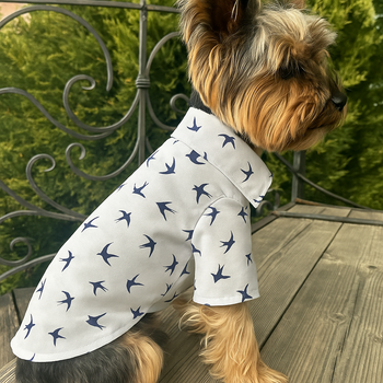 Летняя рубашка для собак XS1 (TR-1012)