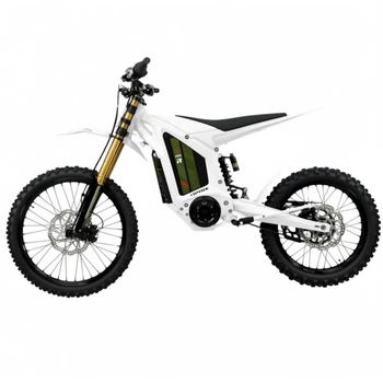 Електромотоцикл Arctic Leopard Clouded XE PRO R white GOLD SHOCK