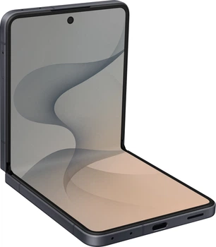Мобильный телефон Samsung Galaxy Flip 8 12/256GB Graphite (SM-F776BZKGSEK)
