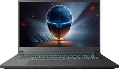 Ноутбук ThundeRobot 911 X17 (911X17-13620H5060Q165HDUS) (17,3 / IPS / 2560x1440 / 165Hz / Intel Core i7-13620H / 16GB RAM / 1TB SSD / RTX 5060 / Windows 11 Home)