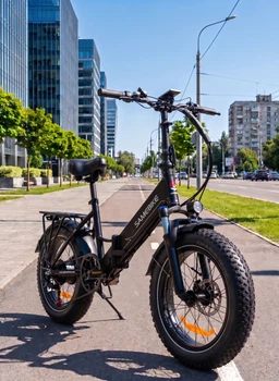 Велосипед электрический мощный складной электро фетбайк для взрослых fatbike с фарой корзиной и крыльями женский мужской электровелосипед с широкими колесами для города села Shimano на аккумуляторе 750W 48V 13Ah LOTDM20 SAMEBIKE Черный глянцевый 73889