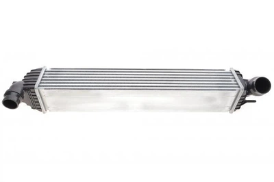 Радіатор інтеркулера Renault Laguna III 2.0DCi 07-15 30312 , NRF