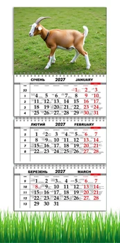 Календарь настенный квартальный на 2027 год на три пружины, Apriori, год Козы, символ года Коза, 29,7х61см , 29 вид