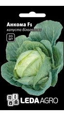 Насіння КАПУСТА АНКОМА 20ШТ \УРОЖАЙНАЯ\