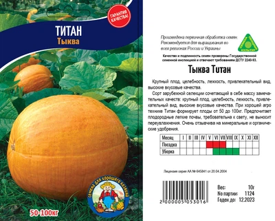 Насіння Гарбуз ТИТАН 10г