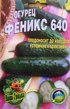 Насіння Огірок Феникс 640 70шт