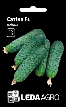 Насіння Огірок САТИНА 10шт.