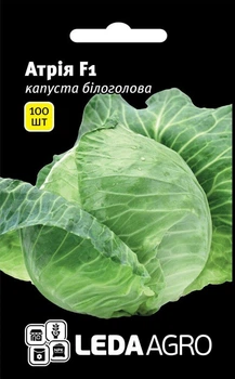 Насіння КАПУСТА АТРИЯ 100ШТ \ДЛЯ КВАШЕНИЯ\
